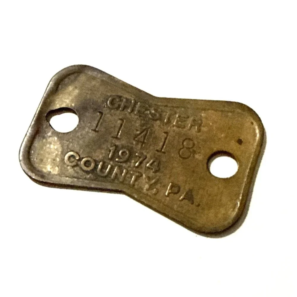 Vintage 1974 Dog License Tag CHESTER County PA Pennsylvania Brass Bow Tie 1.5